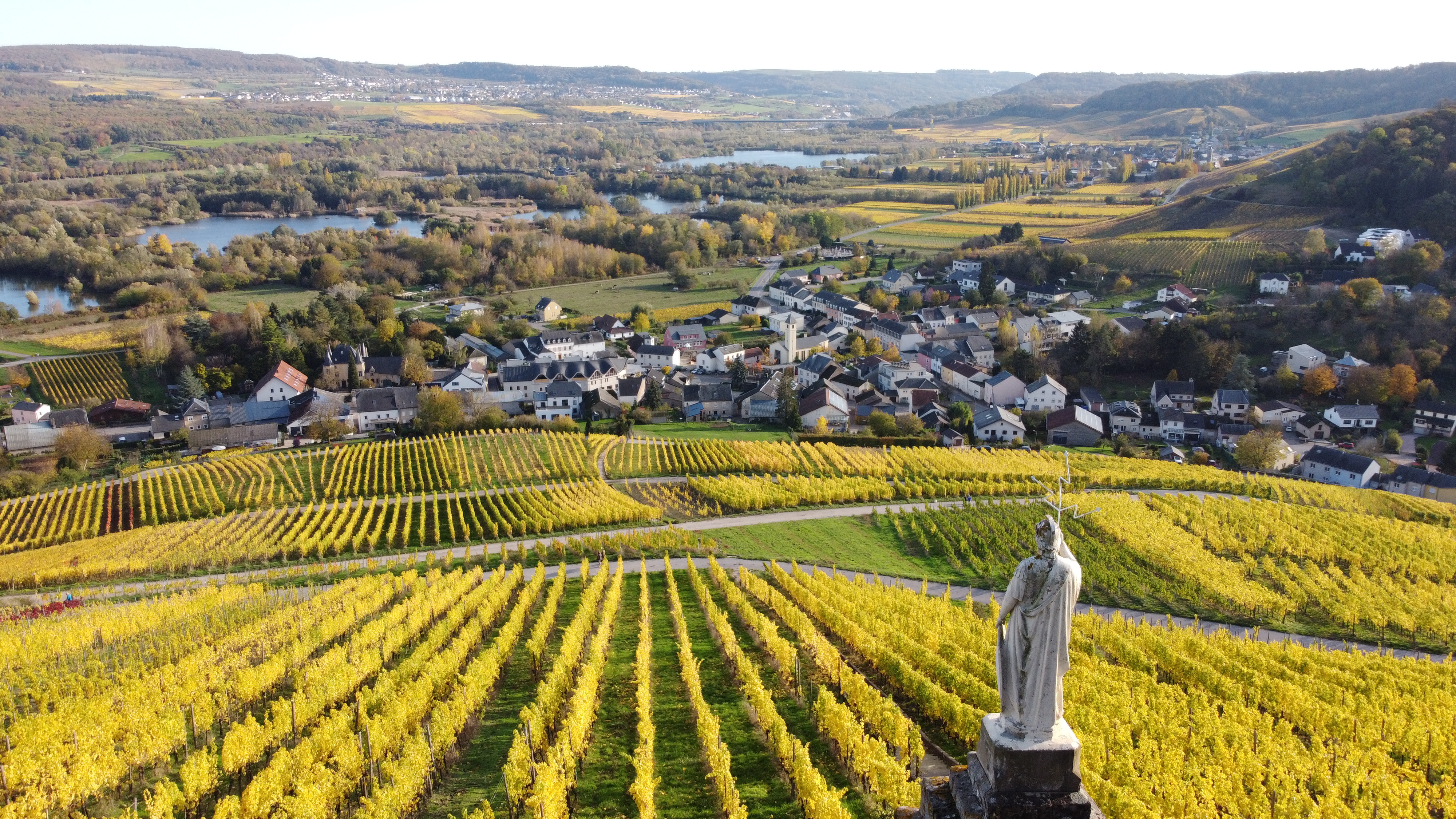 Domaine Viticole Schumacher-Knepper