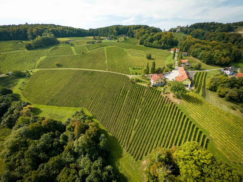 Weingut PRIMUS am Grassnitzberg