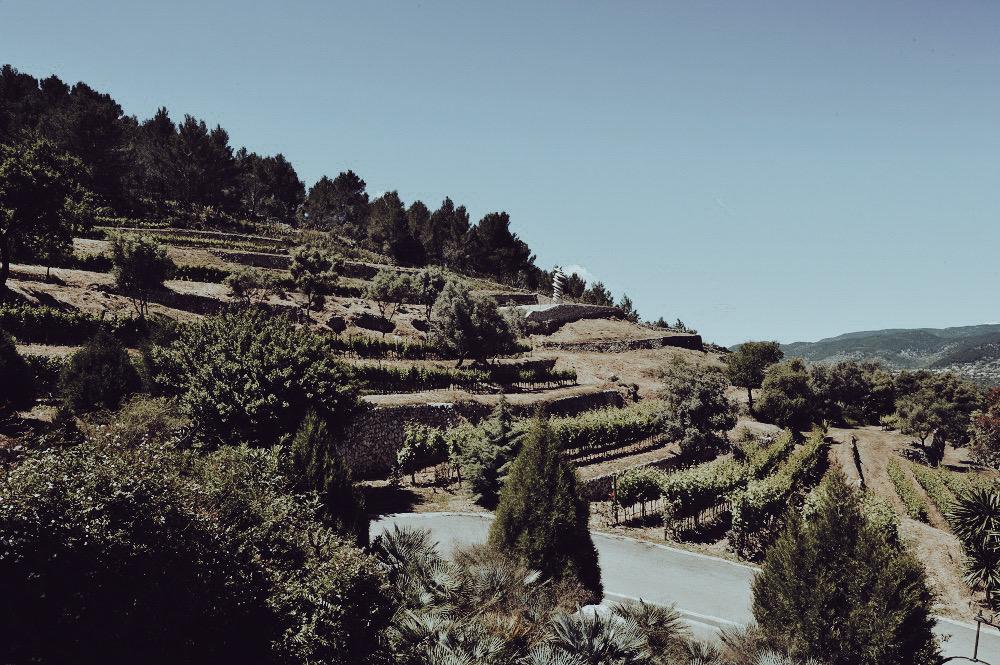 CASTELL MIQUEL