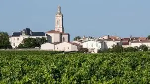 CHATEAU DOMEYNE | Saint Estèphe