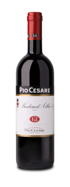 PIO CESARE | Barbera D`Alba DOC